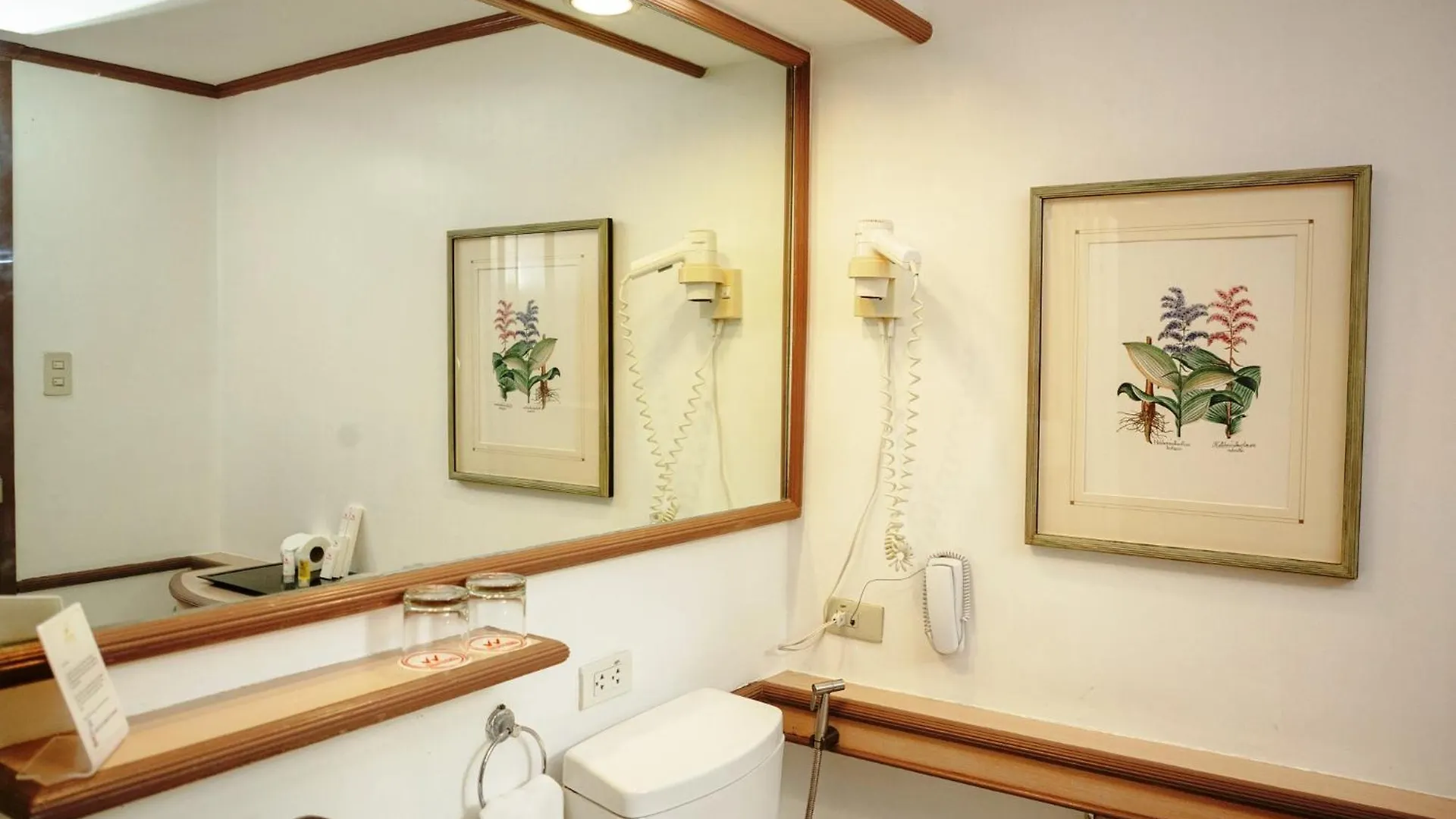 워터프런트 인술라 호텔 다바오 Davao City 4*,  필리핀
